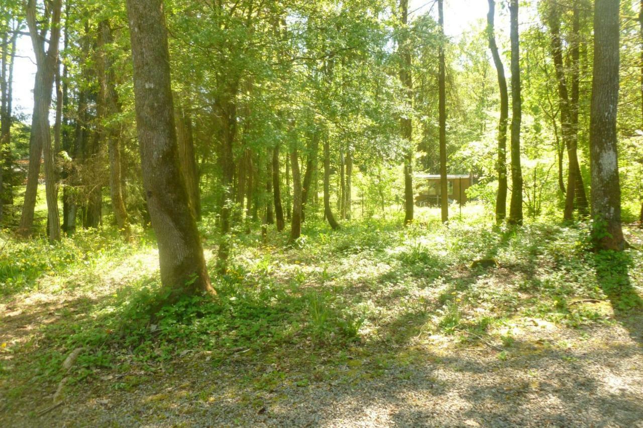 A L'Oree Du Bois Érezée Buitenkant foto